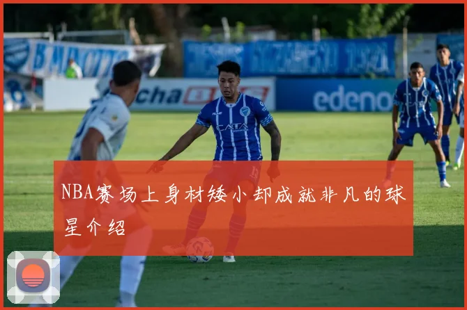 NBA赛场上身材矮小却成就非凡的球星介绍